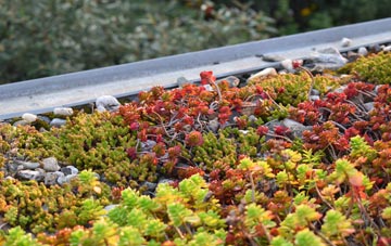 the cost of North Pickenham green roof installation